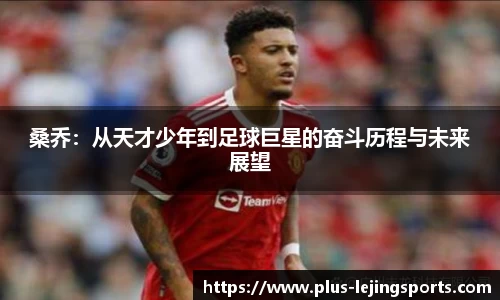 乐竞体育官网